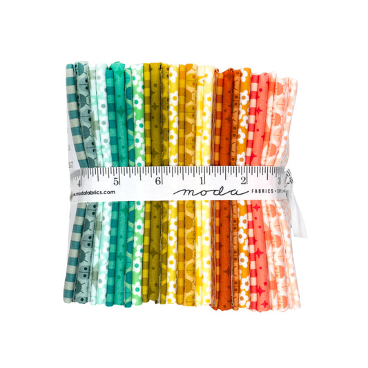 Popcorn fat quarter Moda Elizabeth Hartman