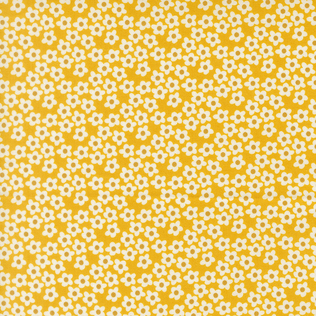 Popcorn fat quarter Moda Elizabeth Hartman