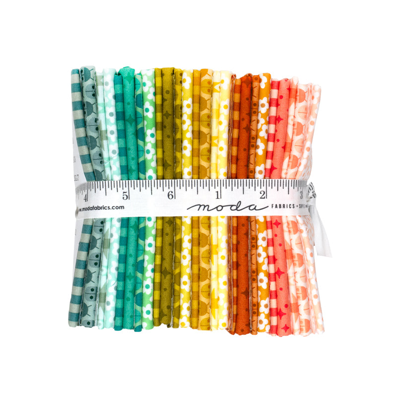 Popcorn fat quarter Moda Elizabeth Hartman