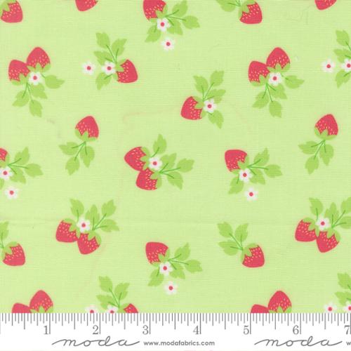 Fruit Salad Melon 29243 20 Moda by the half yard