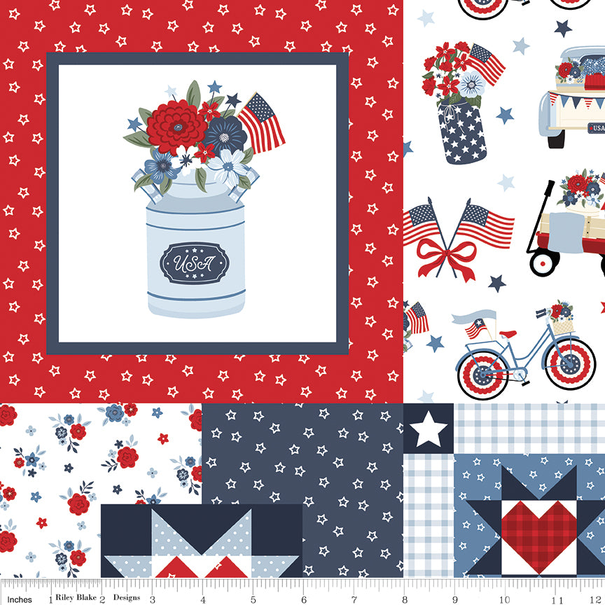 Pre-Order Hooray for the USA Cheater Print Multi