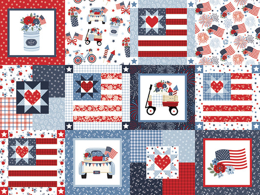 Pre-Order Hooray for the USA Cheater Print Multi